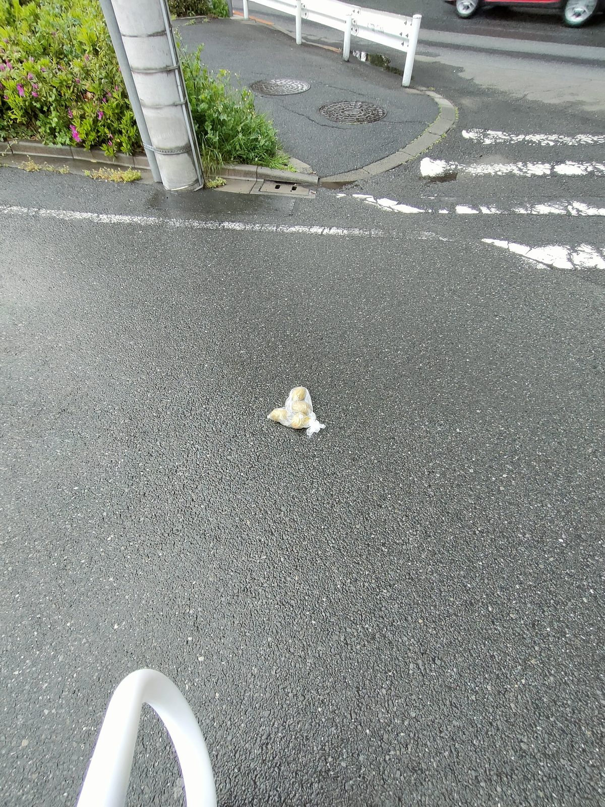 今見ても普通におもろいかも