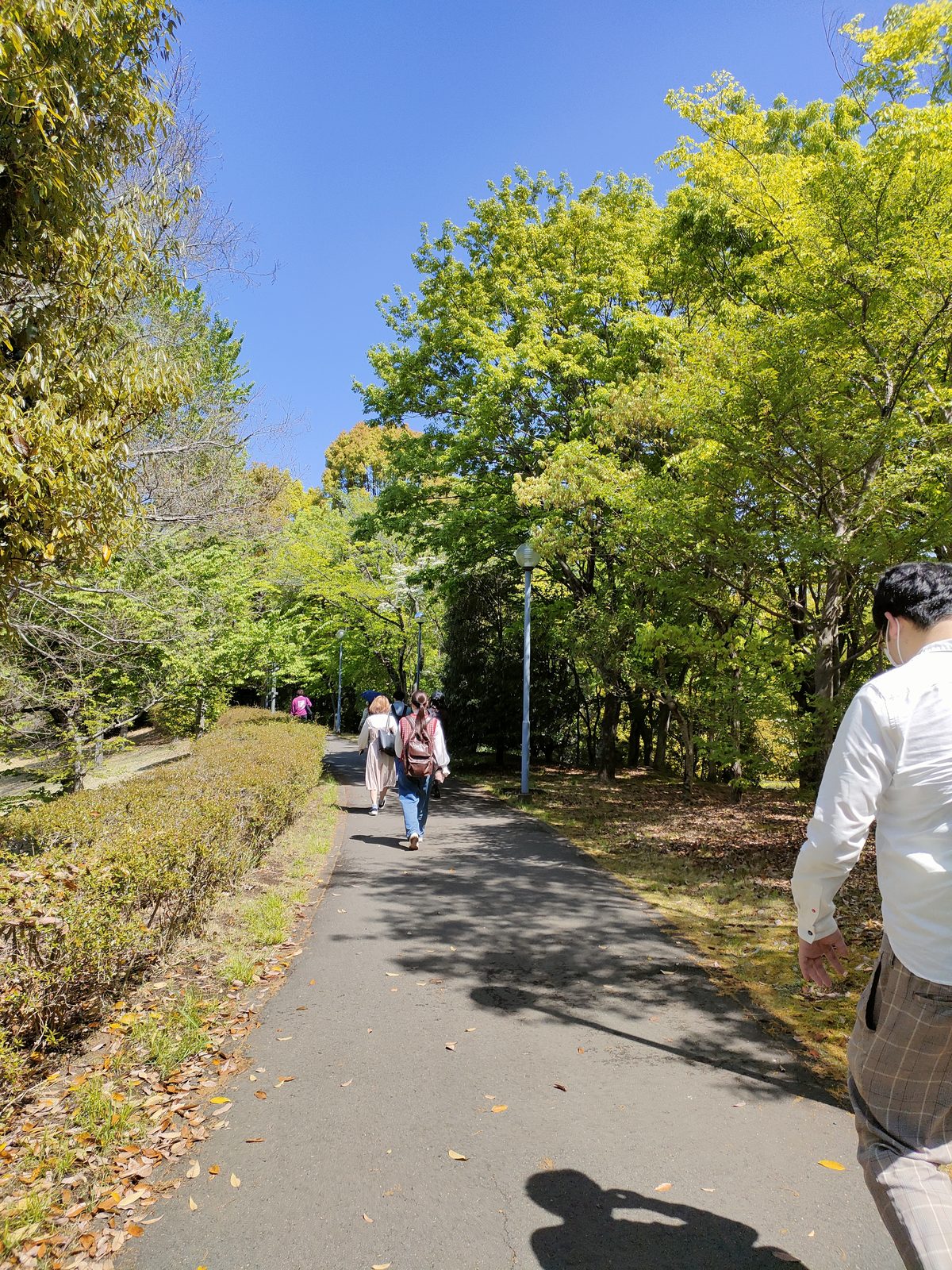 いい場所ではあるけど、地理が悪い