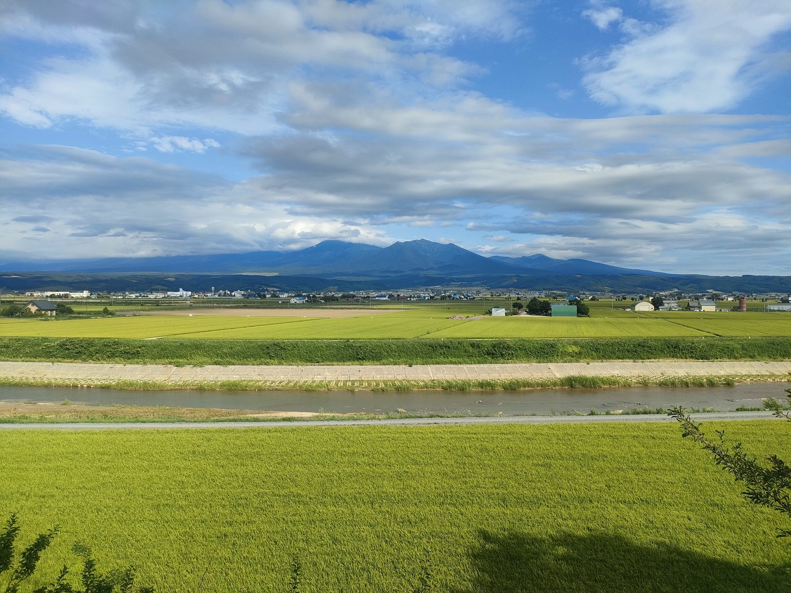 天気いいねぇ
