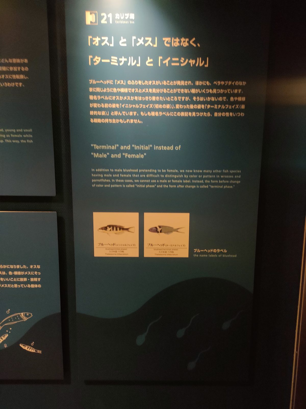 かっこいい笑　しれっと画面下に精子の絵ある