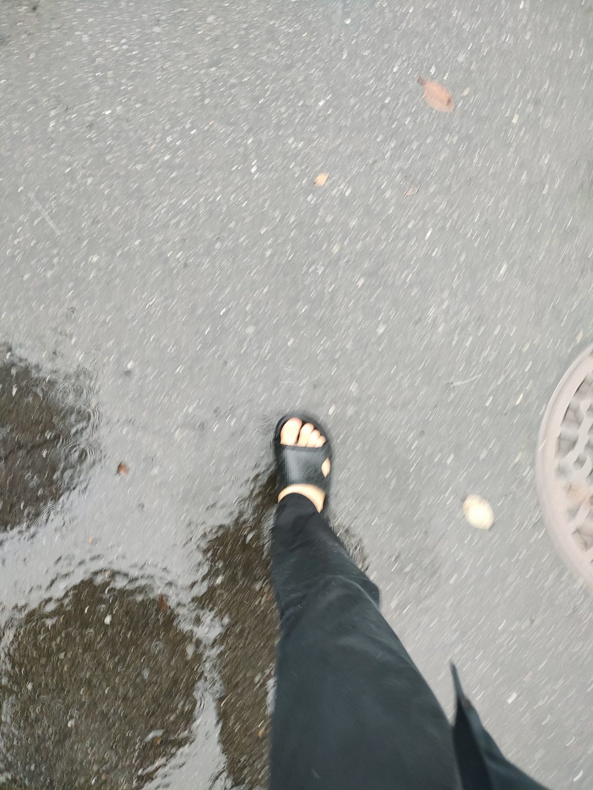 ドンキで買ったやつ