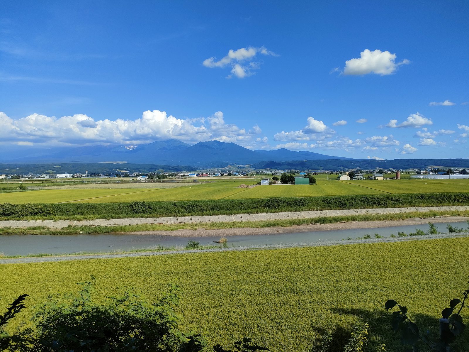 色味が映えるよね