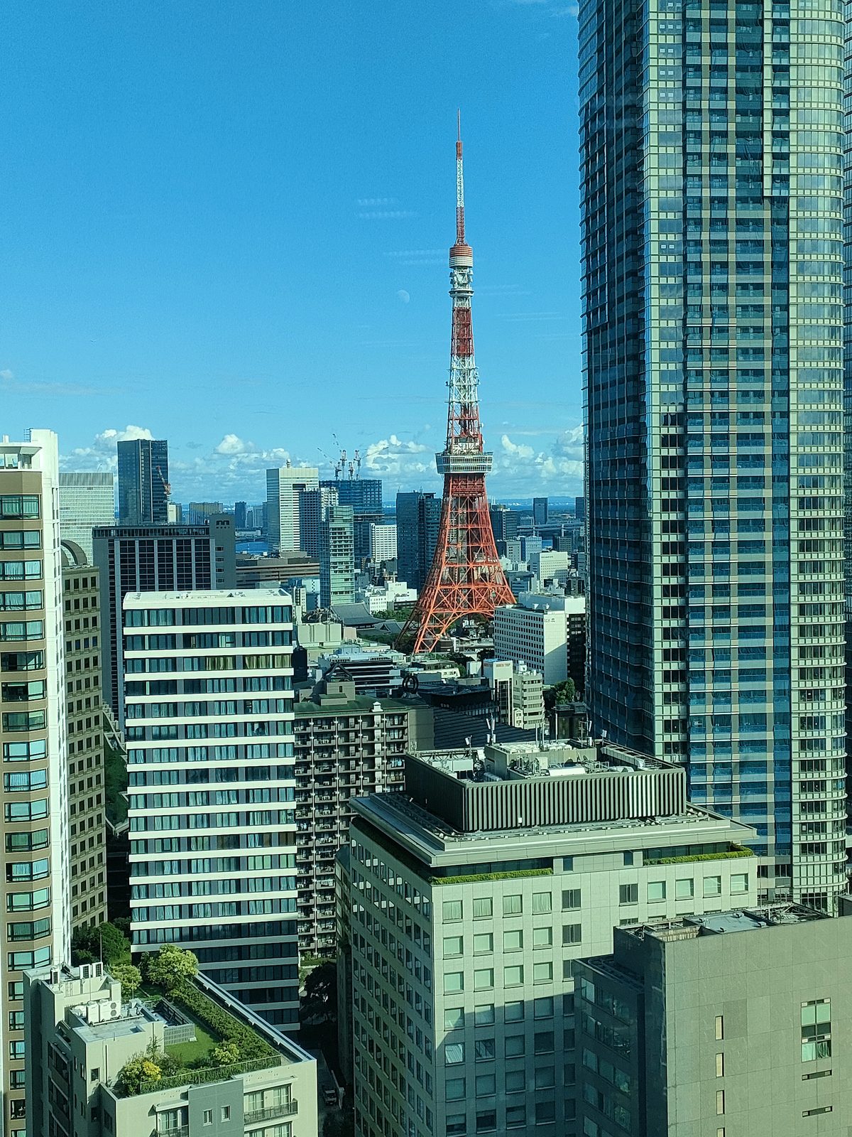やっぱり六本木校舎からの見晴らしの良さが最高だったんだけどなぁ、