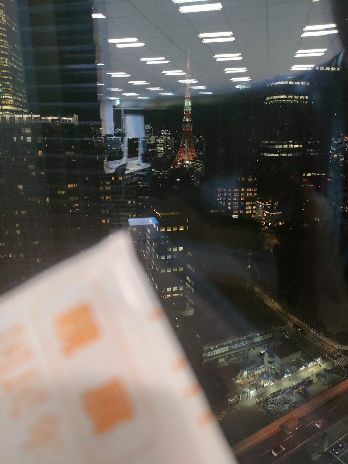 ほら、これが東京だよ〜