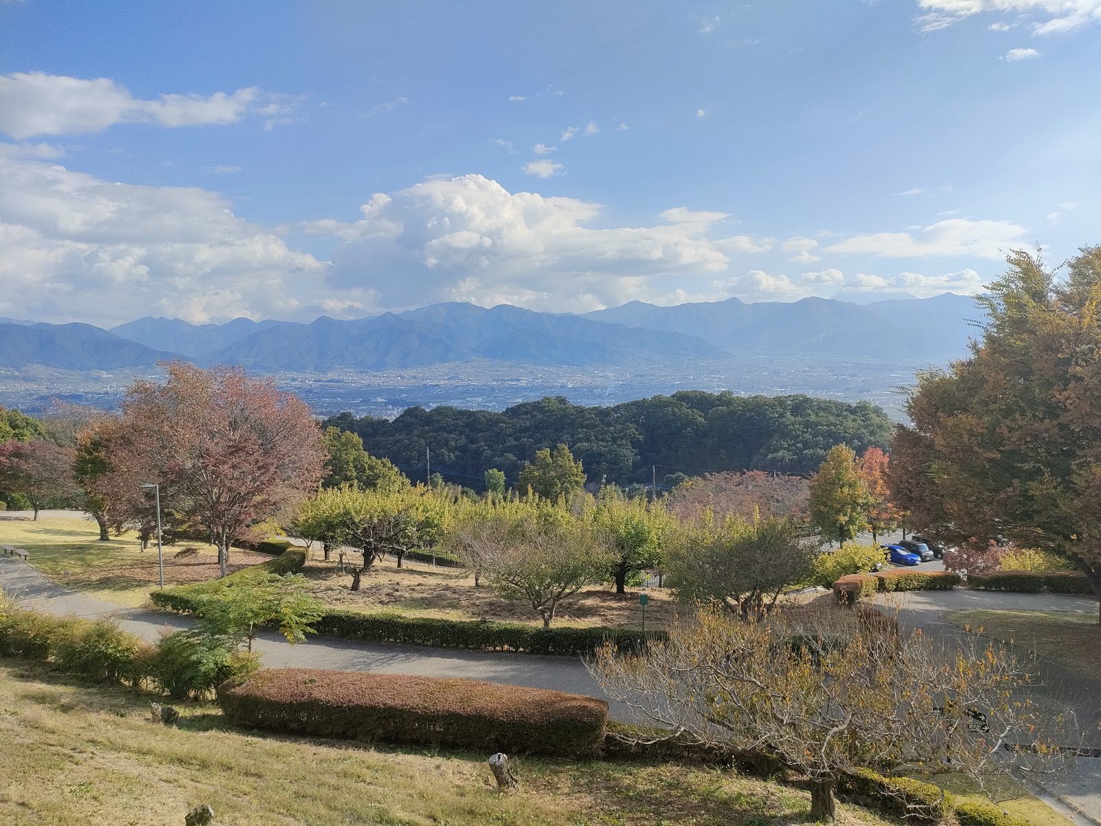 まぁ、紅葉