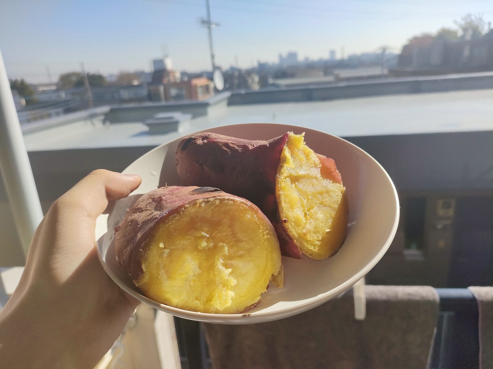 光ってるね