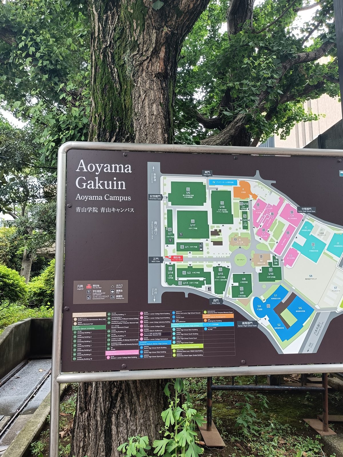 受験会場は青学でした