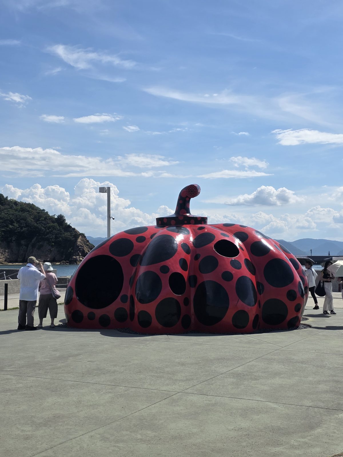 夏の空に映えるね