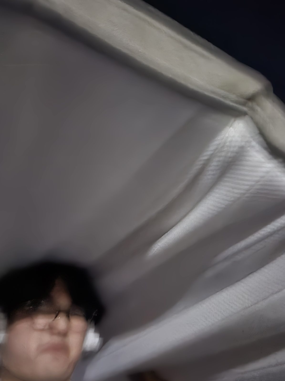 なんとか往復して運んだ